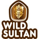 logo wild sultant 1
