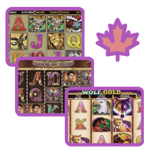 wild sultan machine a sous